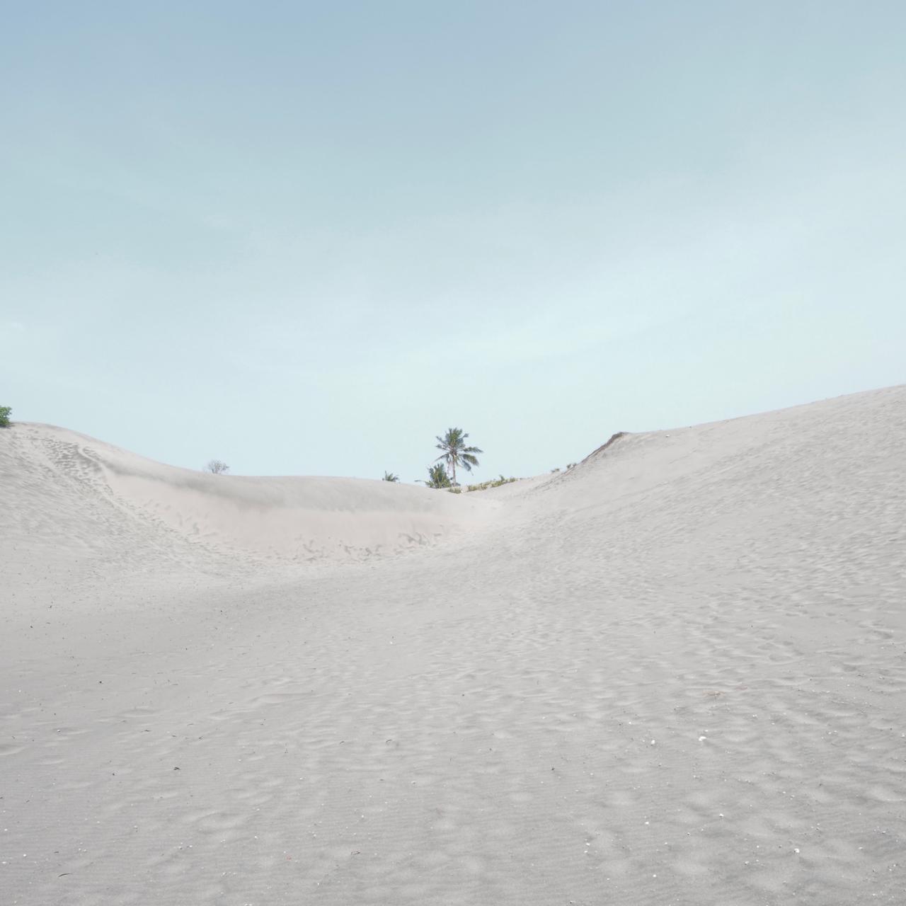 t27.jpeg